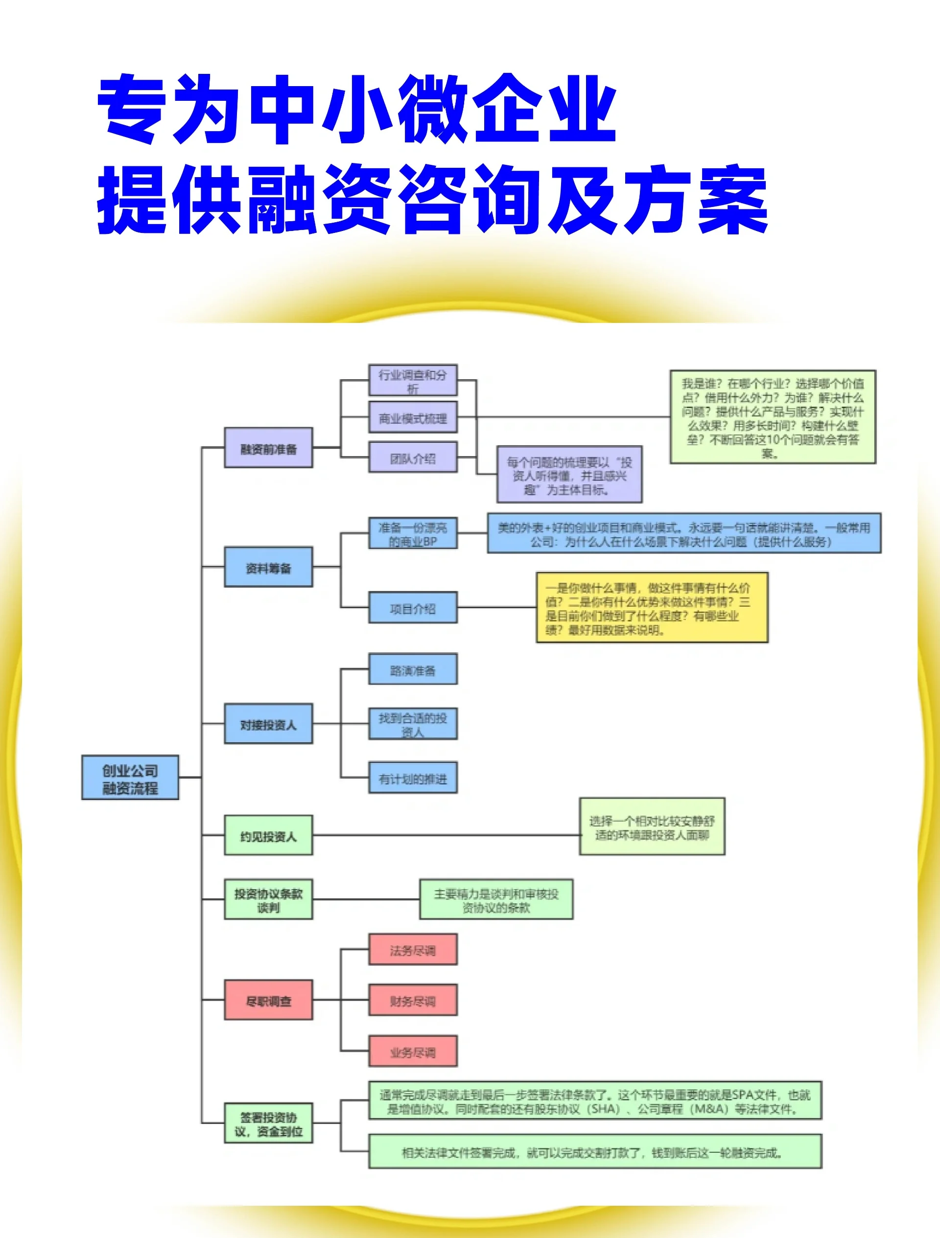 汕尾市宠物企业资金管理(宠物管理机构叫什么)