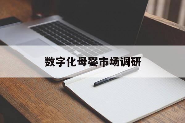 汕尾市数字化母婴市场调研(数字化母婴市场调研报告)